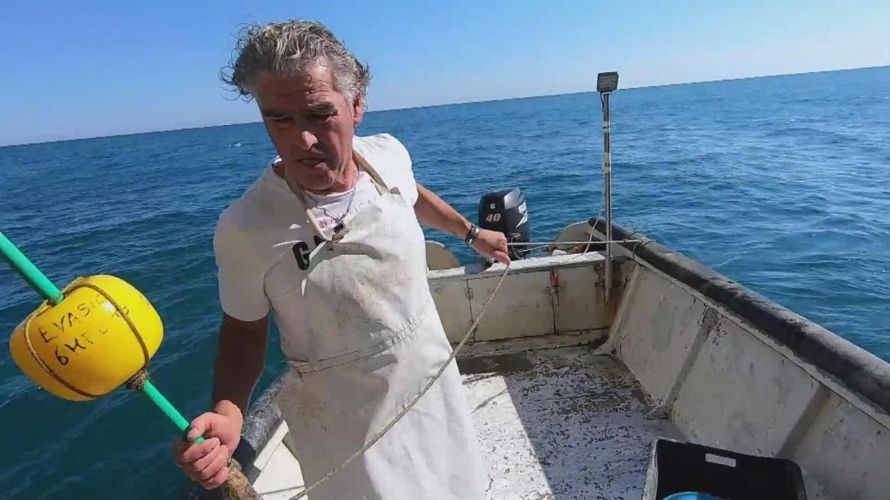 Dimore Di Portadibasso Peschici Extérieur photo